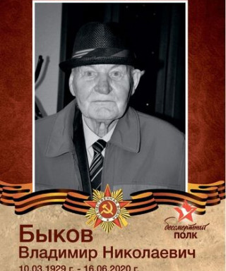 Быков Владимир Николаевич
