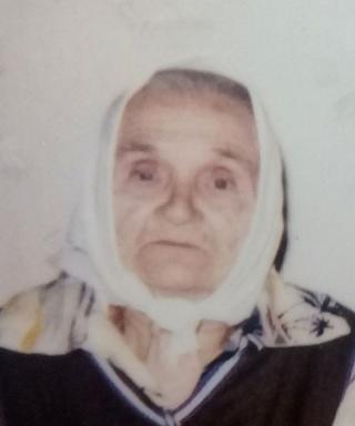 Дмитриева Александра Ивановна