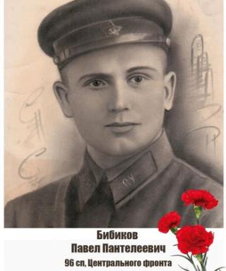 Бибиков Паша