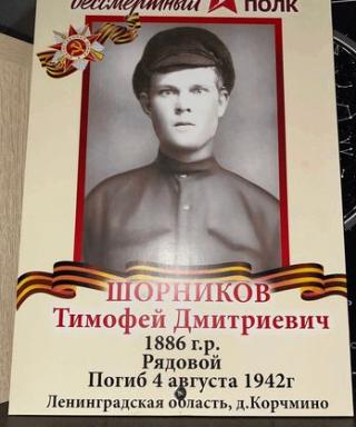 Шорников Тимофей Дмитриевич