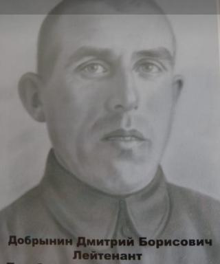 Добрынин Дмитрий Борисович