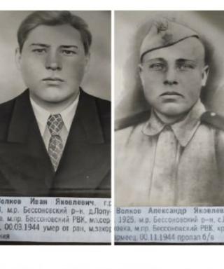 Волковы Иван и Александр Яковлевич