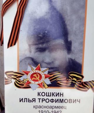 Кошкин Илья Трофимович