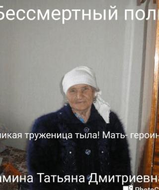 Шамина Татьяна Дмитриевна