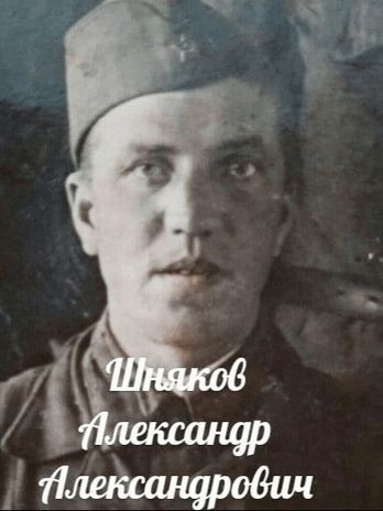 Шняков Александр Александрович