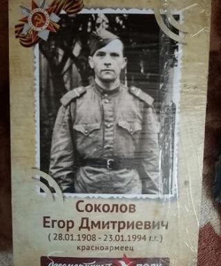 Соколов Егор Дмитриевич