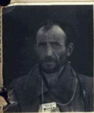 Пчела Яков Григорьевич