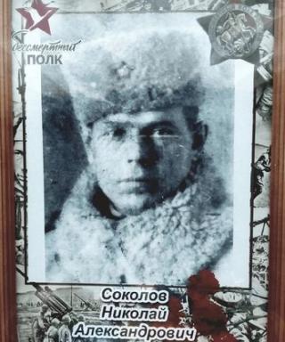 Соколов Николай Александрович