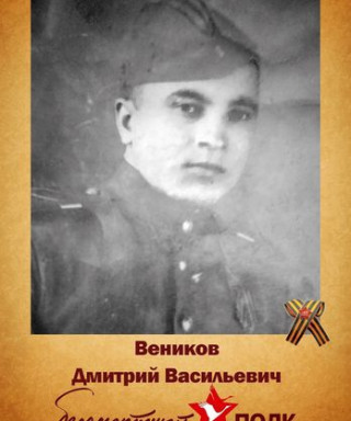 Веников Дмитрий Васильевич