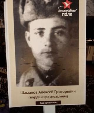 Шамалов Алексей Григорьевич