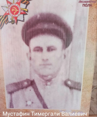 Мустафин Тимергали Валиевич