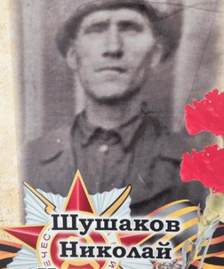 Шушаков Николай Николаевич