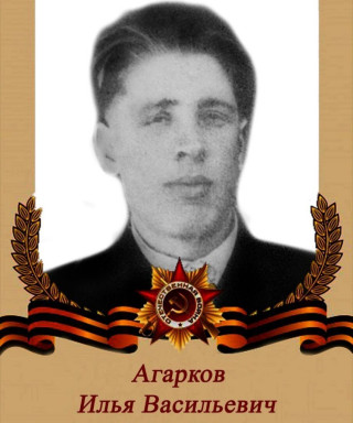 Агарков Илья Васильевич
