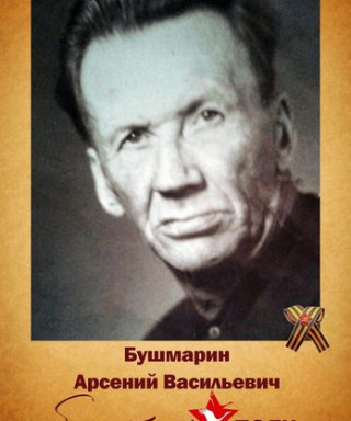 Бушмарин Арсений Васильевич