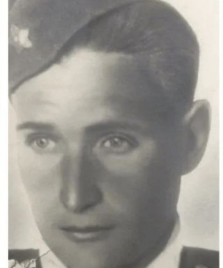 Пабута Владимир Францевич