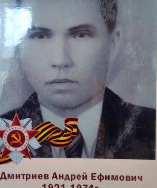Дмитриев Андрей Ефимович