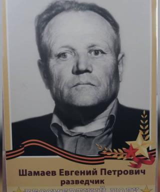 Шамаев Евгений Петрович