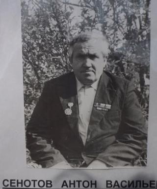 Сенотов Антон Васильевич