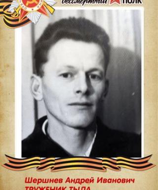 Шершнев Андрей Иванович