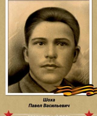 Шоха Павел Васильевич