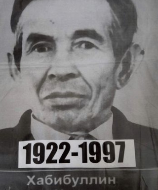 Хабибуллин Валиш Хусаинович