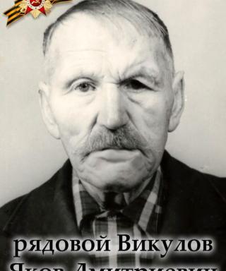 Викулов Яков Дмитриевич