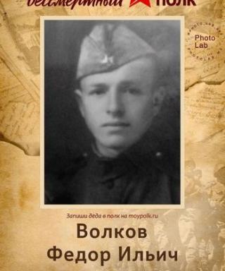 Волков Федор Ильич