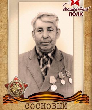 Сосновый Михаил Павлович