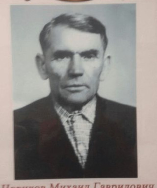 Новиков Михаил Гаврилович