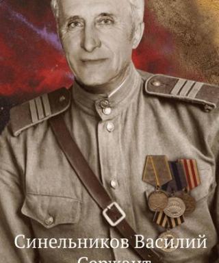Синельников Василий Васильевич