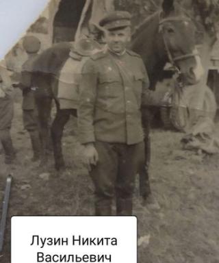 Лузин Никита Васильевич