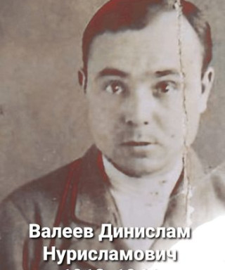 Валеев Динислам Нурисламович