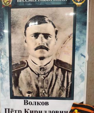 Волков Петр Кириллович