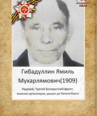 Гибадуллин Ямиль Мухарлямович