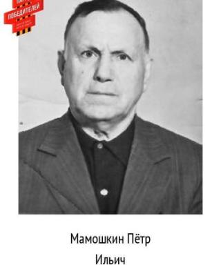 Мамошкин Пётр Ильич