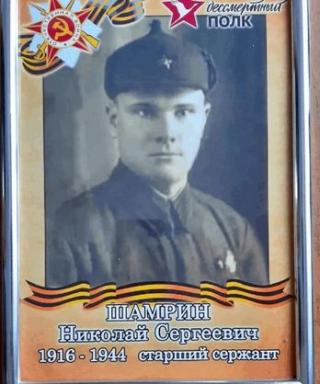 Шамрин Николай Сергеевич