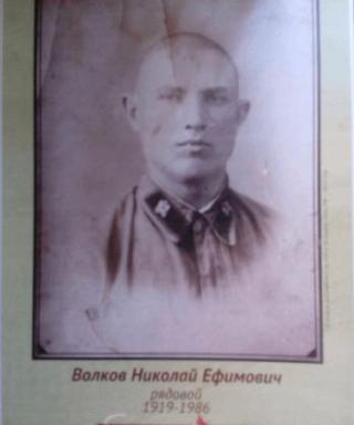 Волков Николай Ефимович