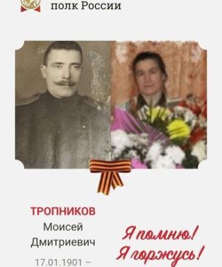 Тропников Моисей Дмитриевич