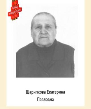 Шарипкова Екатерина Павловна
