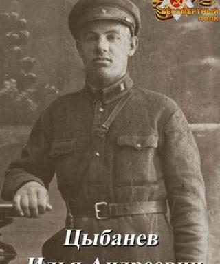 Цибанев Илья Андреевич