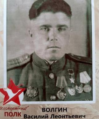 Волгин Василий Леонтьевич