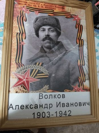 Волков Александр Иванович