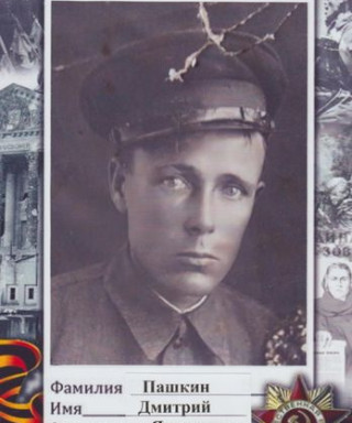 Пашкин Дмитрий Яковлевич
