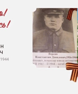 ворсин константин данилович