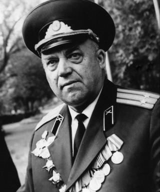 Чапля Васильевич Васильевич