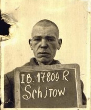 Шитов Виктор Яковлевич