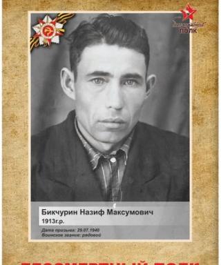 Бикчурин Назиф Максумович