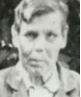 Веселицкий Лаврентий Степанович