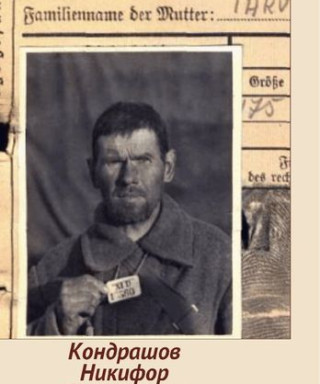 Кондрашов Никифор Трифонович