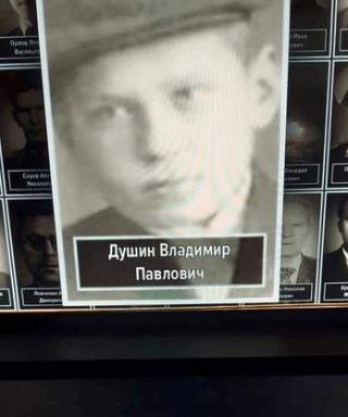 Душин Владимир Павлович